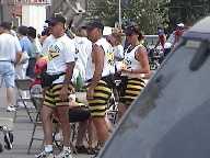 killerbees2.jpg